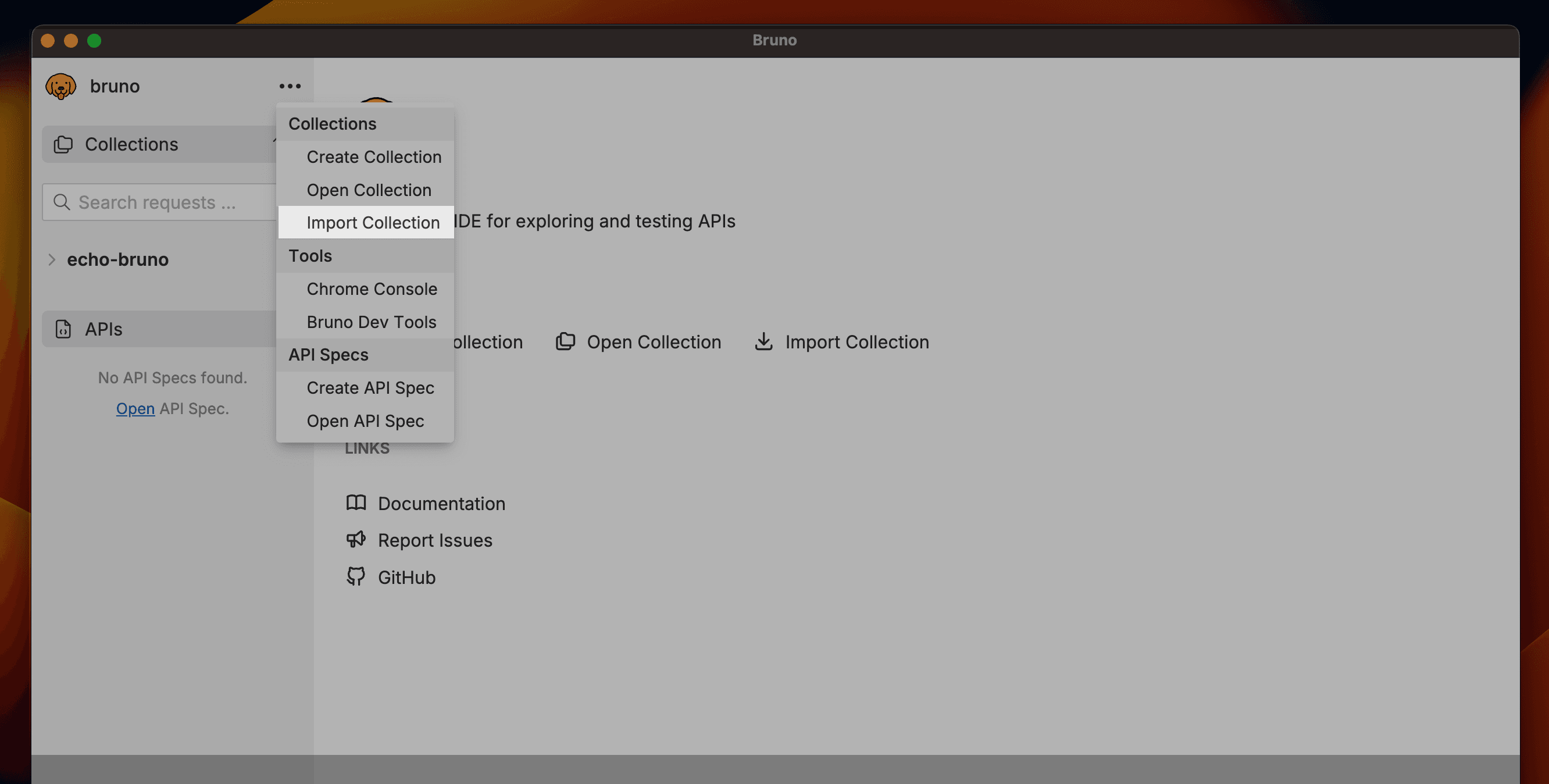 Import Option
